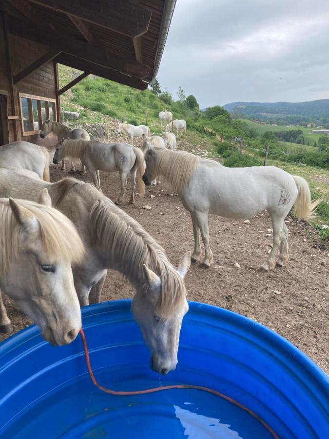 Chez Herve Le Chatelet La Chaux Neuve Εξωτερικό φωτογραφία